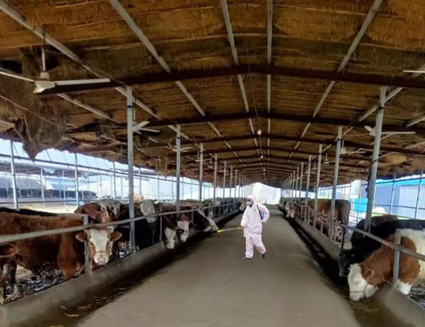 畜牧業(yè)養(yǎng)殖次氯酸發(fā)生器