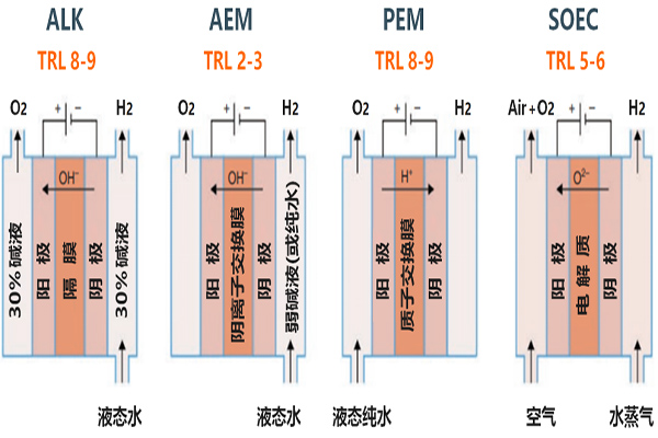 電解槽