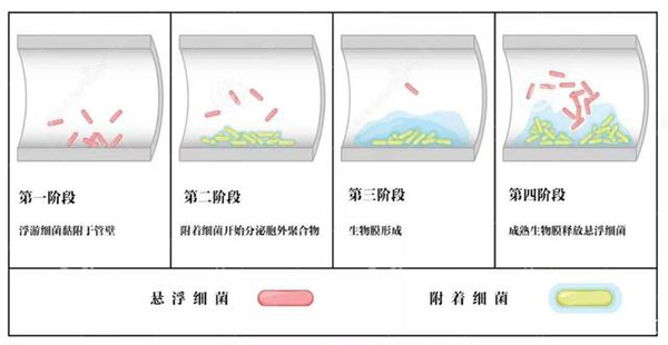 牙科專用次氯酸發(fā)生器 牙科專用次氯酸發(fā)生器