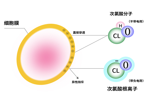 1645149465254321.jpg 微信圖片_20220218095609.jpg
