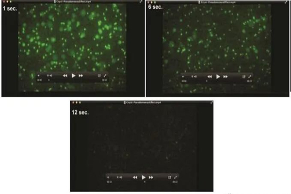 1646729131214382.jpg 0088YG2bly1gmzsn2uxahj30iv0ba43v.jpg