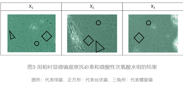 次氯酸發生器研究表格