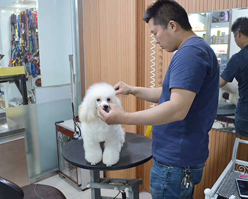 場景.png 場景.png