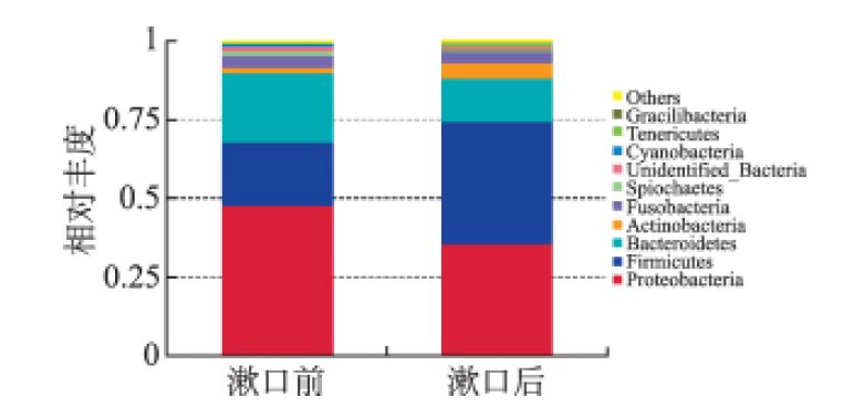微酸性電解水漱口7d 后 微酸性電解水漱口7d 后