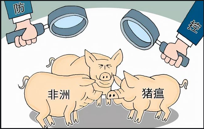 盛懷次氯酸水對(duì)豬場(chǎng)養(yǎng)殖行業(yè)效果明顯
