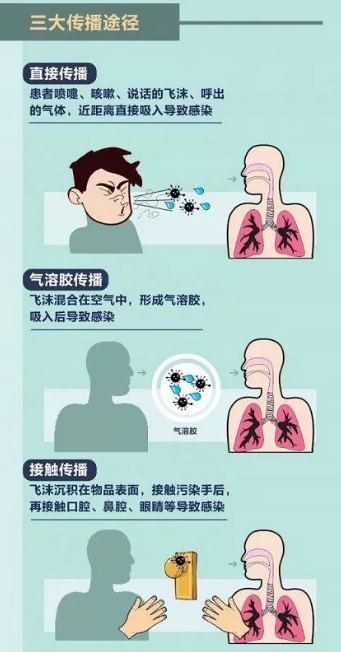 病毒的三大傳播途徑圖示