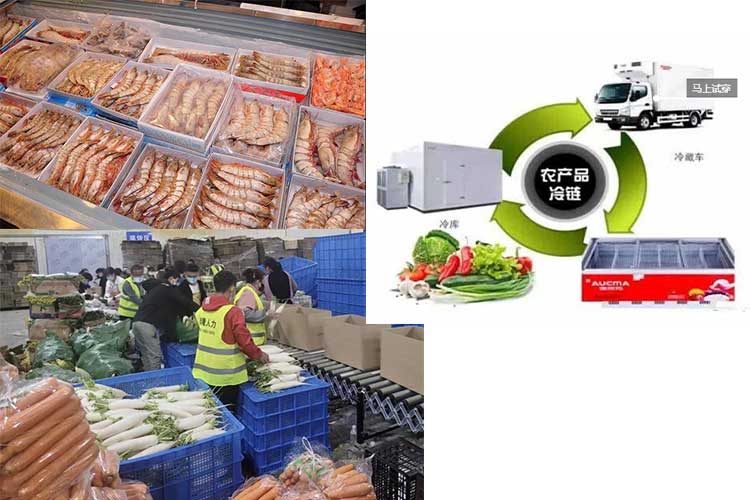生鮮冷鏈圖 生鮮冷鏈圖