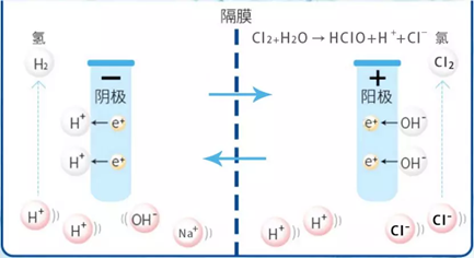 次氯酸發(fā)生器殺菌 次氯酸發(fā)生器殺菌